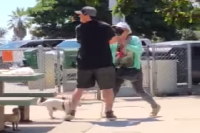 Jarrett Kelley being attacked at the dog park on Thursday