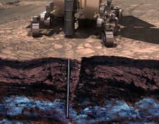 Life could exist beneath the surface of Mars, study claims