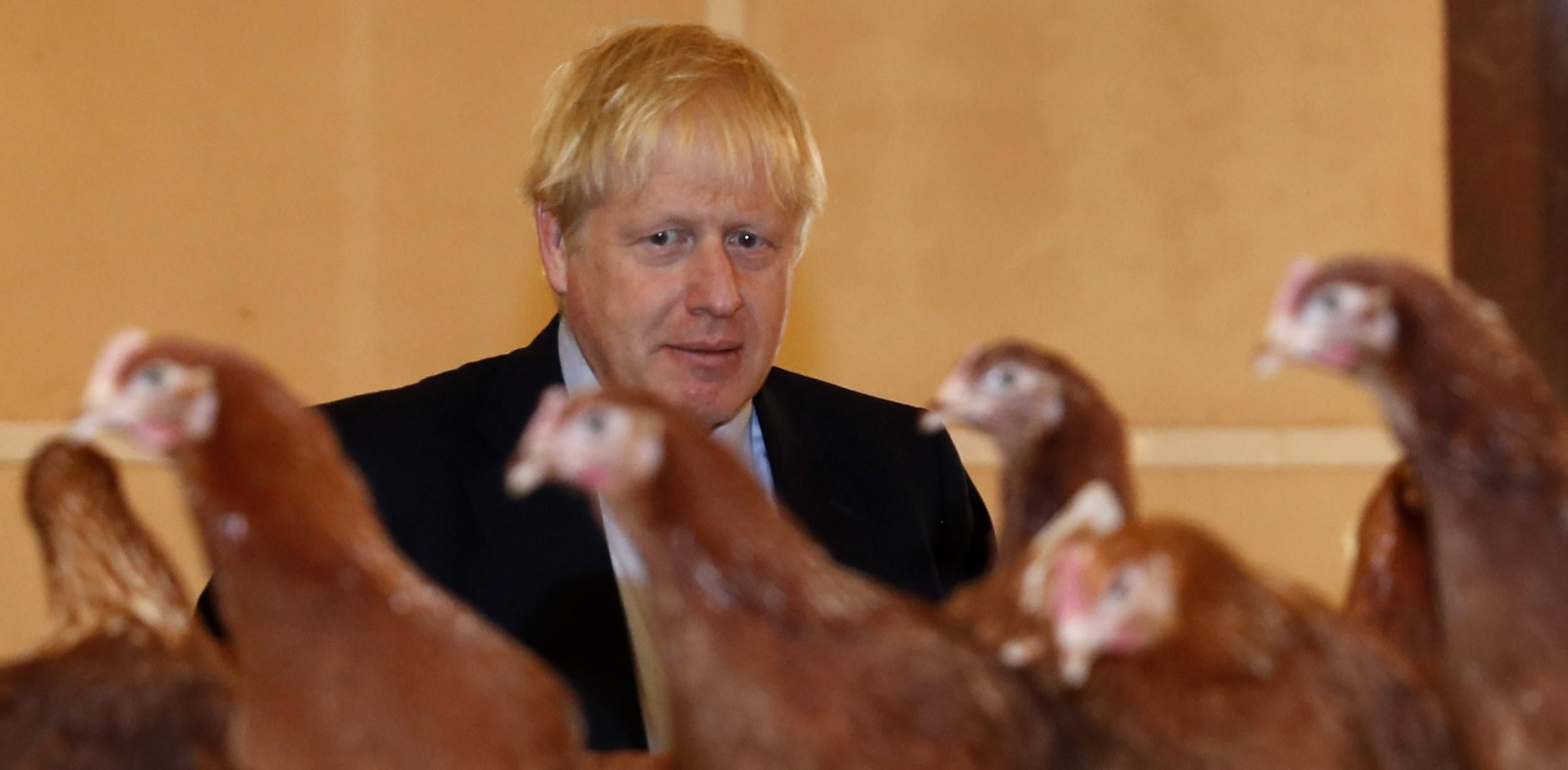 Chlorinated chicken Peers slam Tories for not banning it from the UK