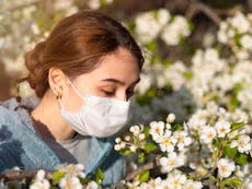 Scientists discover why coronavirus leads to a loss of smell