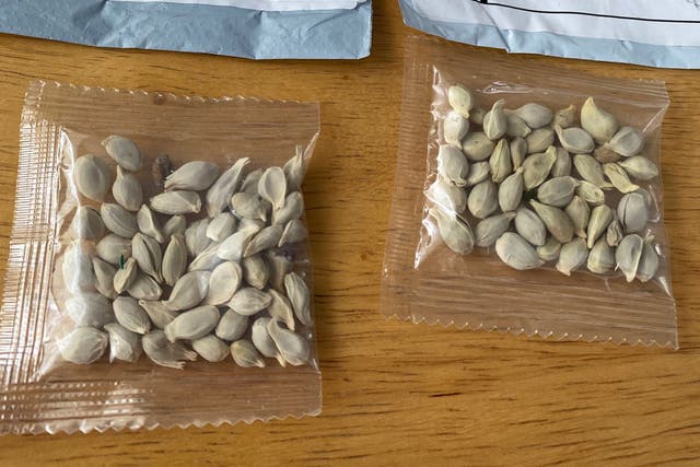 Unsolicited seeds have been sent to postal addresses in various parts of the US