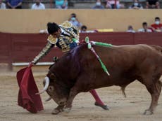 ‘Have we not already had an overdose of death’: Spain holds first bullfight since coronavirus lockdown amid battle over tradition’s future