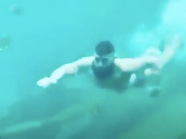 A man has been filmed in an aquarium in Australia