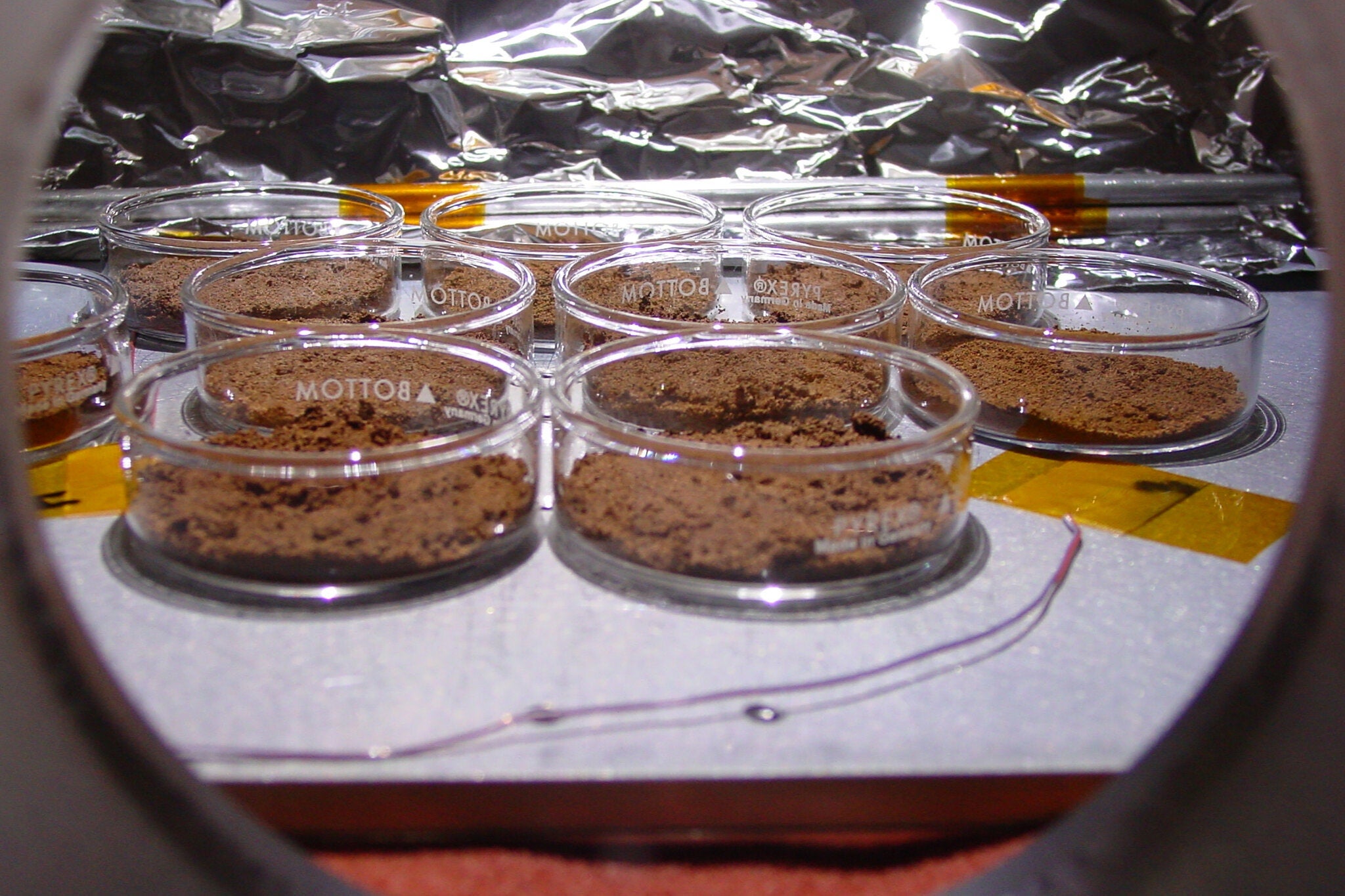 &#13;
An experiment in a so-called 'Mars Jar,' a pressurized chamber to simulate the environment on Mars, containing Mars analog soil with E coli bacteria mixed in, at the University of Florida &#13;