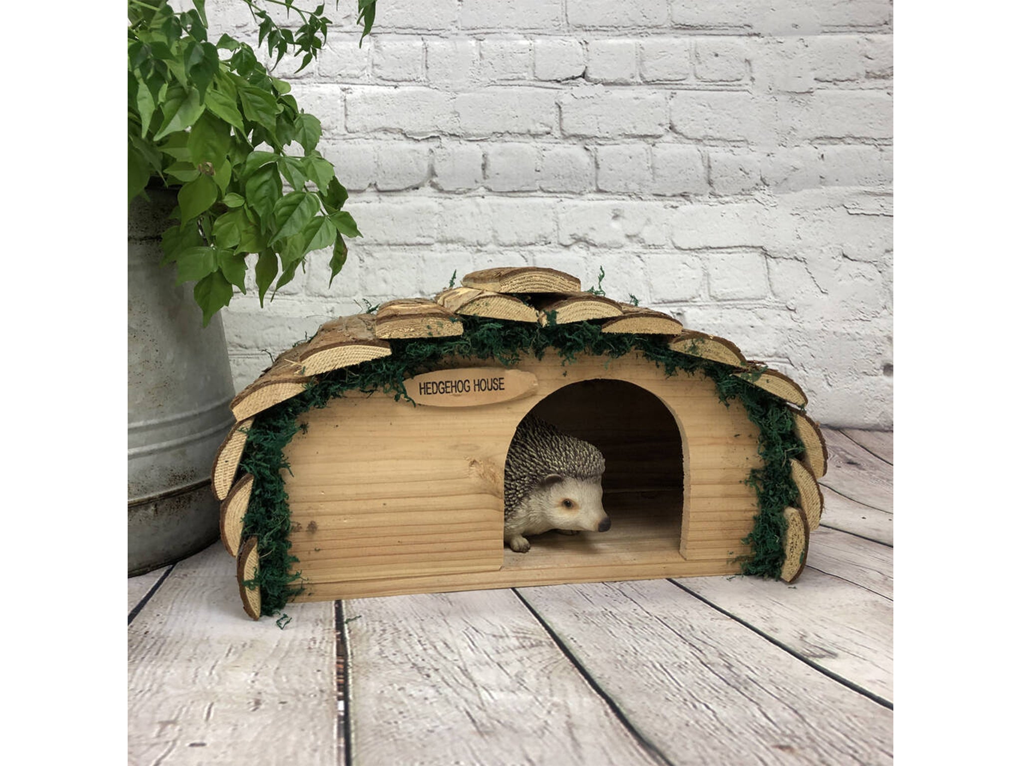 Keep hedgehogs protected from predators like foxes with this outdoor home