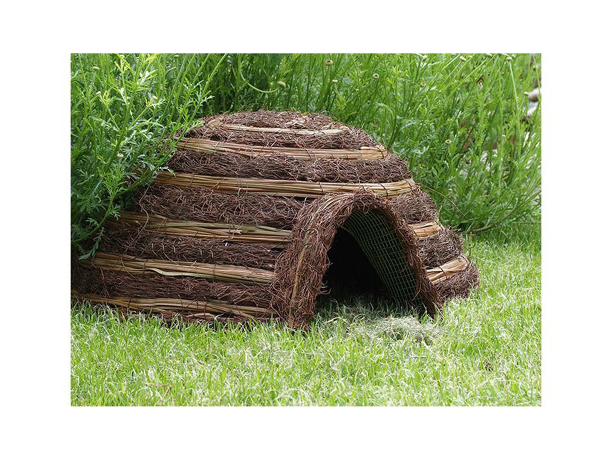 This hedgehog house will provide shelter from all the elements