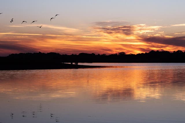 The sun rises over Kilvington Lakes in Leicestershire on 31 July, 2020, which the Met Office predicts will be the warmest day of the year so far.