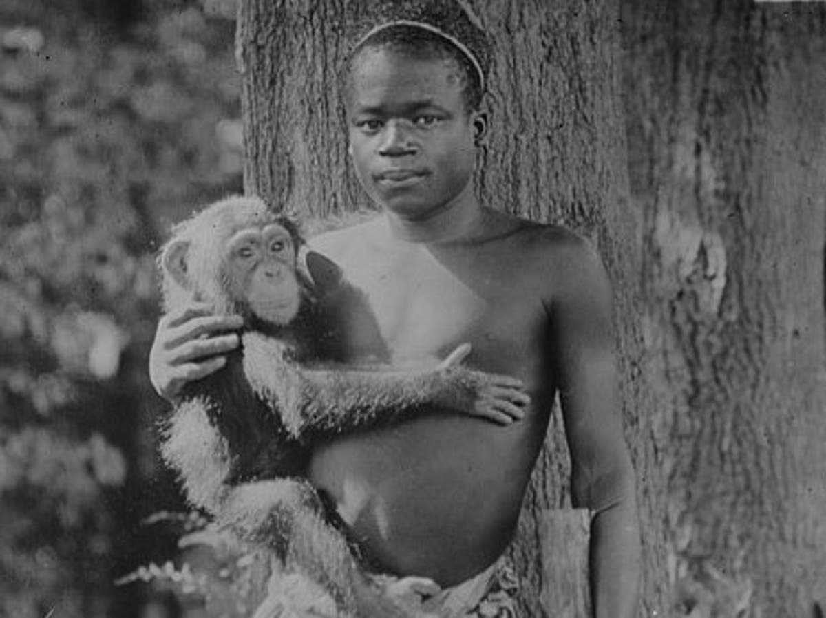 Bronx Zoo apologises for exhibiting African man in monkey house in 1906 |  The Independent | The Independent