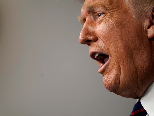 US president Donald Trump has been criticised over comments suggesting delay to November election