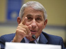 Dr Fauci clashes with top Trump loyalist over limiting protests