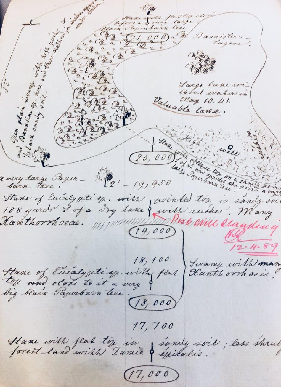 A page from Priess’s field books. (L Preiss Field book Nos 1 and 2 State Records Office of Western Australia)