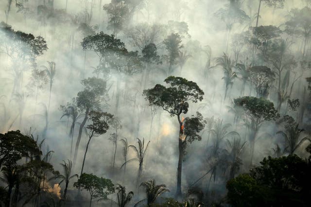 Smoke billows from a fire in an area of the Amazon rainforest near Porto Velho, Rondonia State, Brazil