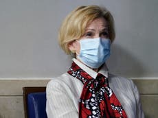 Coronavirus in US entering ‘new phase’, warns top White House doctor
