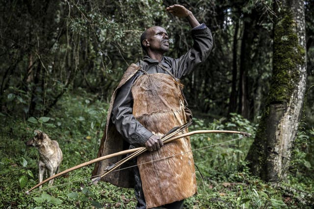 Ogiek hunter Joseph Kipkemoi Lesingo surveys a tree holding a beehive before collecting honey on a cold day