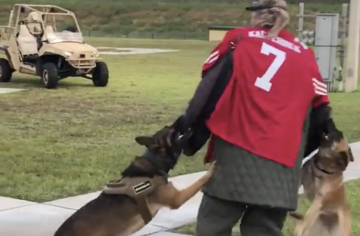 Navy investigates dog demo involving Kaepernick jersey at