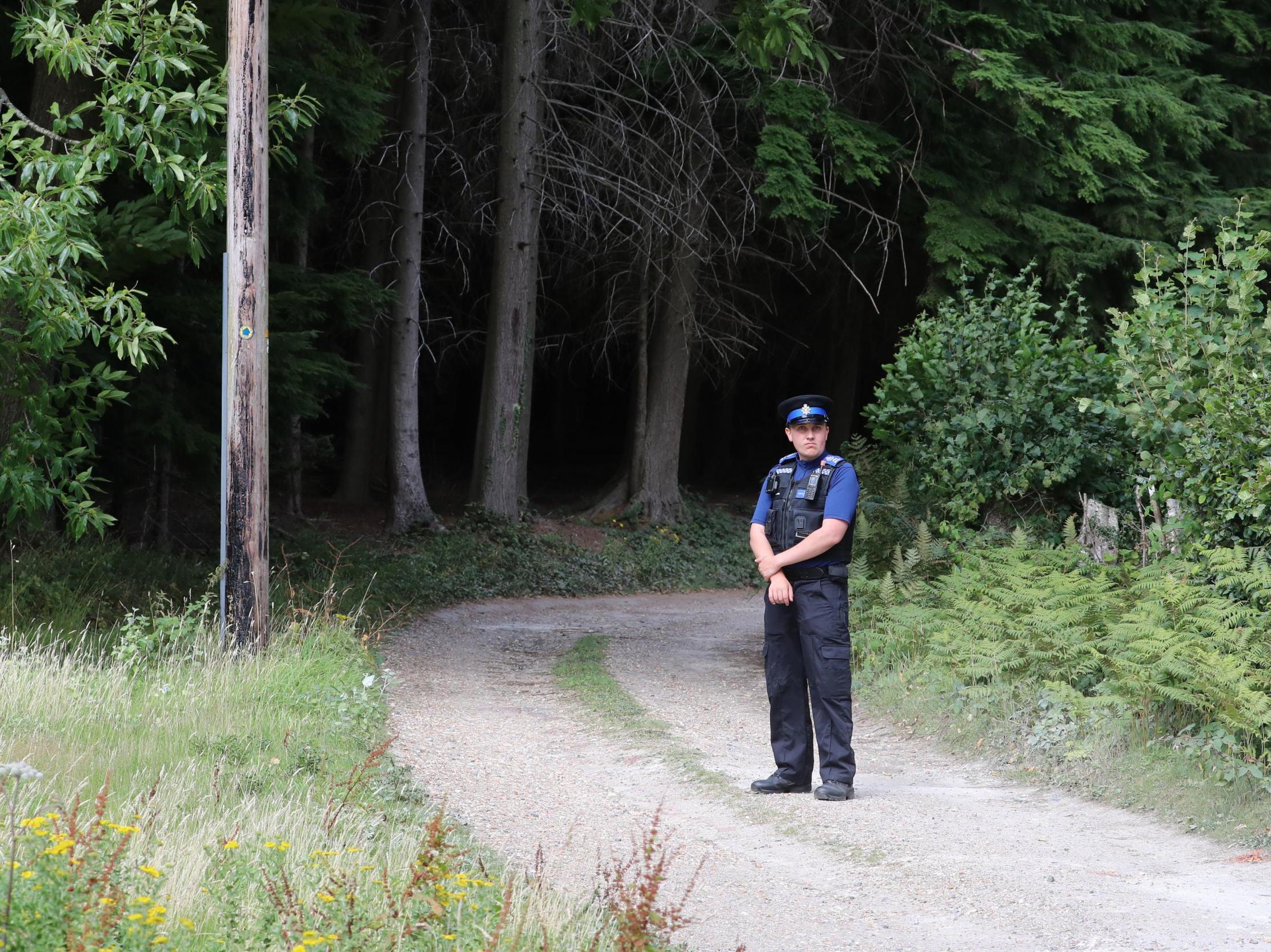 A police officer on the road close to scene of a light plane crash in Heathfield, East Sussex which claimed the life of the pilot