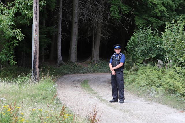A police officer on the road close to scene of a light plane crash in Heathfield, East Sussex which claimed the life of the pilot