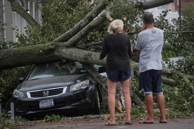 Tropical Storm Isaias knocked down trees in New York City as the fast-moving storm pummeled the East Coast.