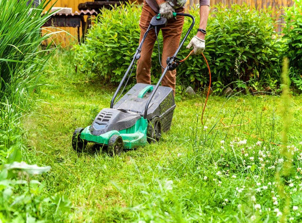 5 of the best lawnmowers to keep your grass in check | indy100 | indy100