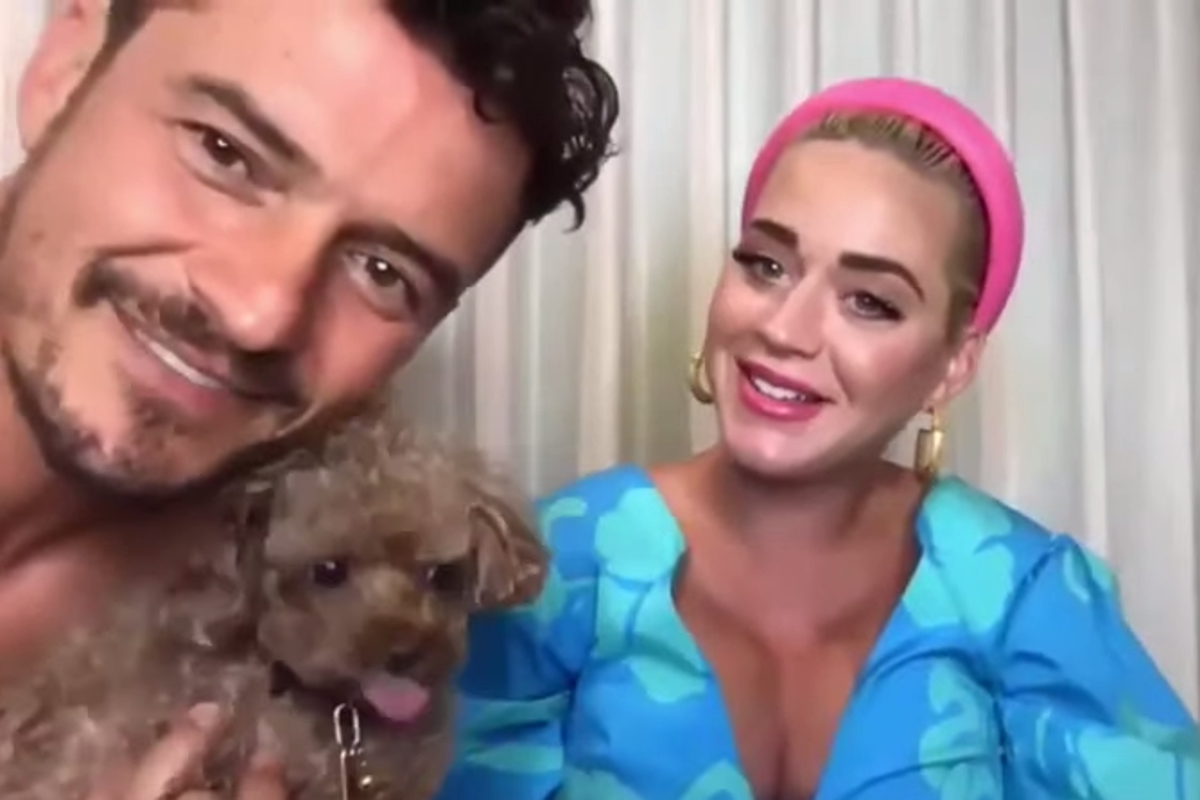 Katy Perry livestream interrupted by surprise appearance from Orlando Boom and dog