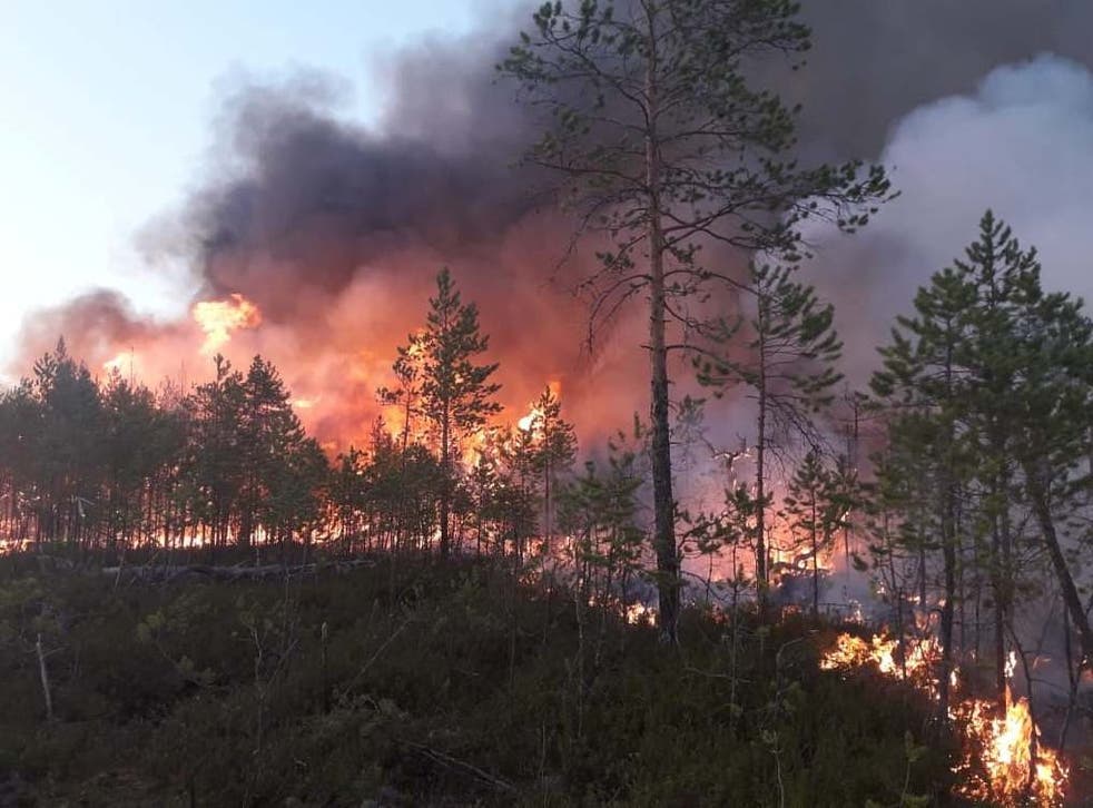 A wildfire in a forest in Khanty-Mansi Autonomous District in western Siberia, Russia, on 16 July 2020