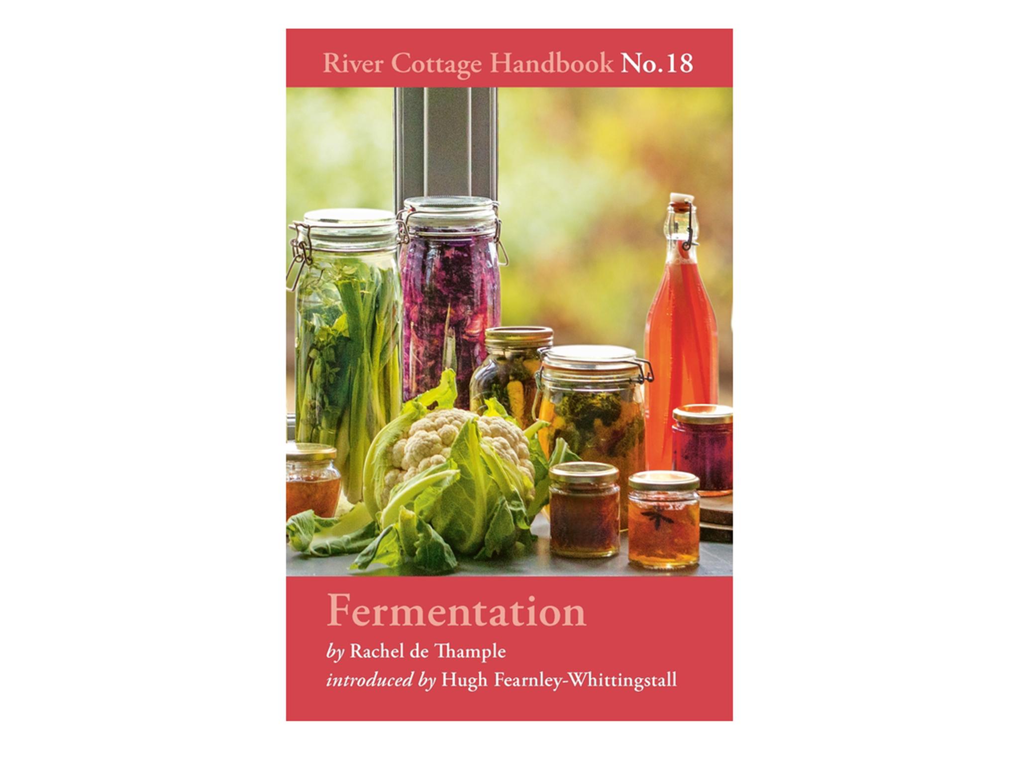 indybest best fermentation book fermentation-river-cottage-by-rachel-de-thample-indybest-best-fermentation-book.jpg