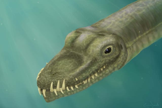 The creature was described as 'a stubby crocodile with a very, very long neck'