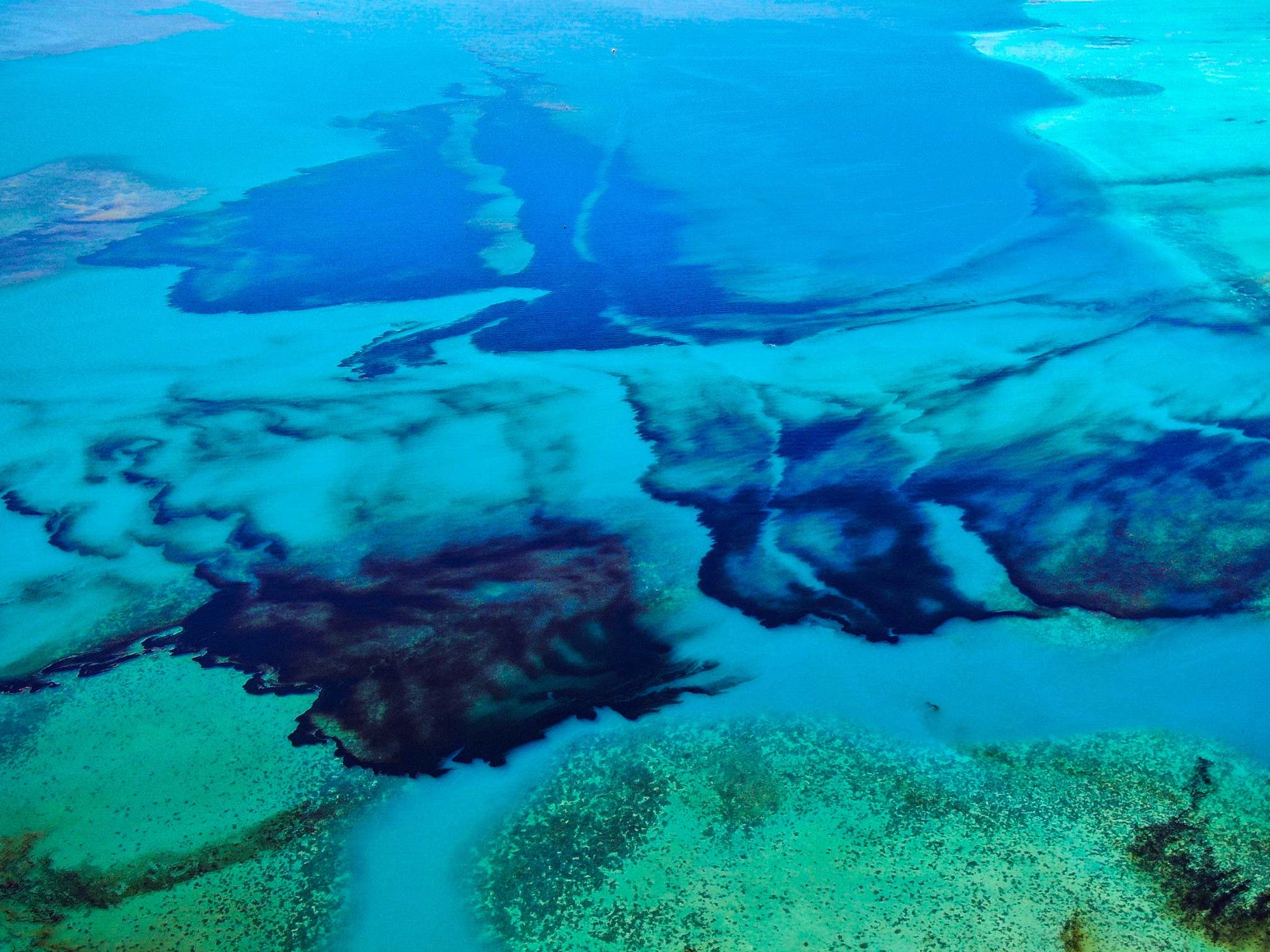An aerial photograph shows oil drifting ashore over coral reefs from the MV Wakashio