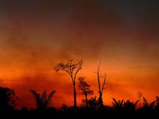 Brazil's Bolsonaro calls Amazon fires a 'lie' despite surge in blazes
