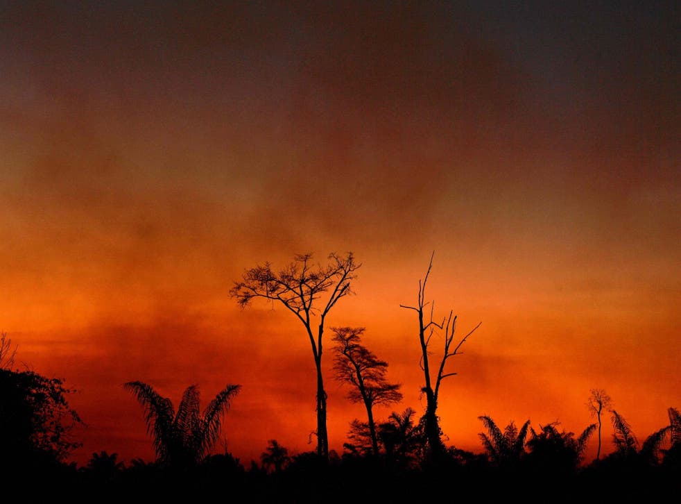 Smoke rises from a burnt area of land a the Xingu Indigenous Park, Mato Grosso state, Brazil, on 6 August 2020