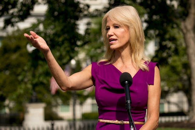 Kellyanne Conway holds forth outside the White House