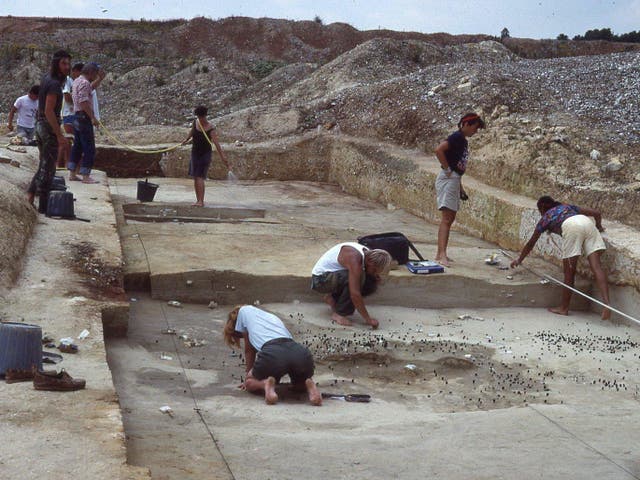 A photograph of the Horse Butchery Site, Boxgrove, under excavation in 1990.