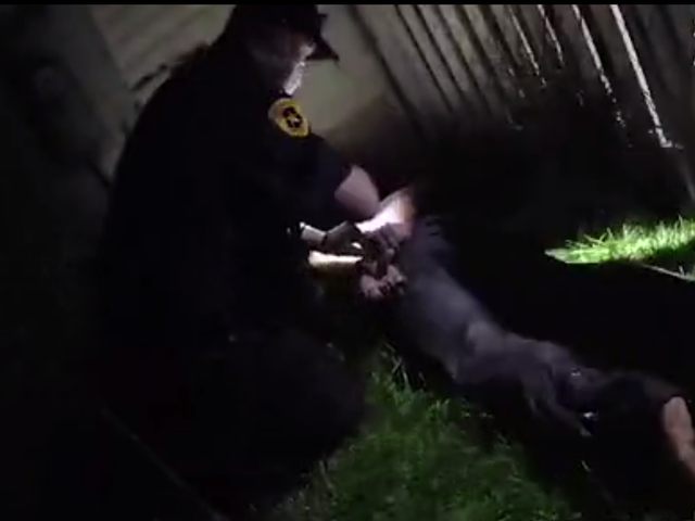 Jeffery Ryans being arrested by officer after being bit by a police dog