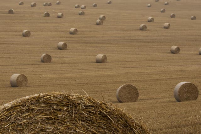 Hay bales are pictures in a field in Dover on 12 August, 2020, as the UK experiences high temperatures and scattered thunderstorms.