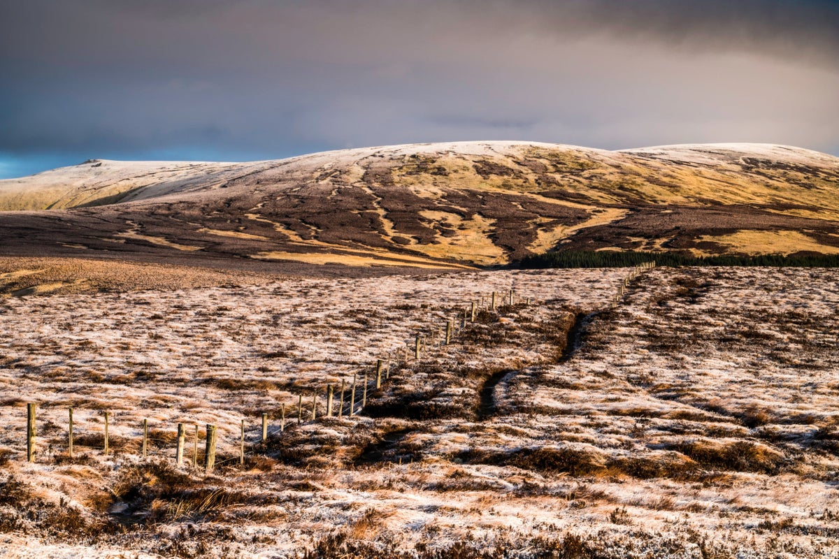 We mapped the world’s carbon-storing frozen peatlands and made a disturbing discovery