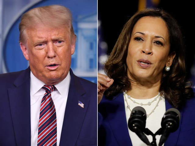 Related video: Trump promotes racist conspiracy that Kamala Harris is not eligible to run for VP