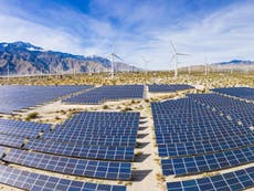 Wind and solar produce record 10% of world’s electricity