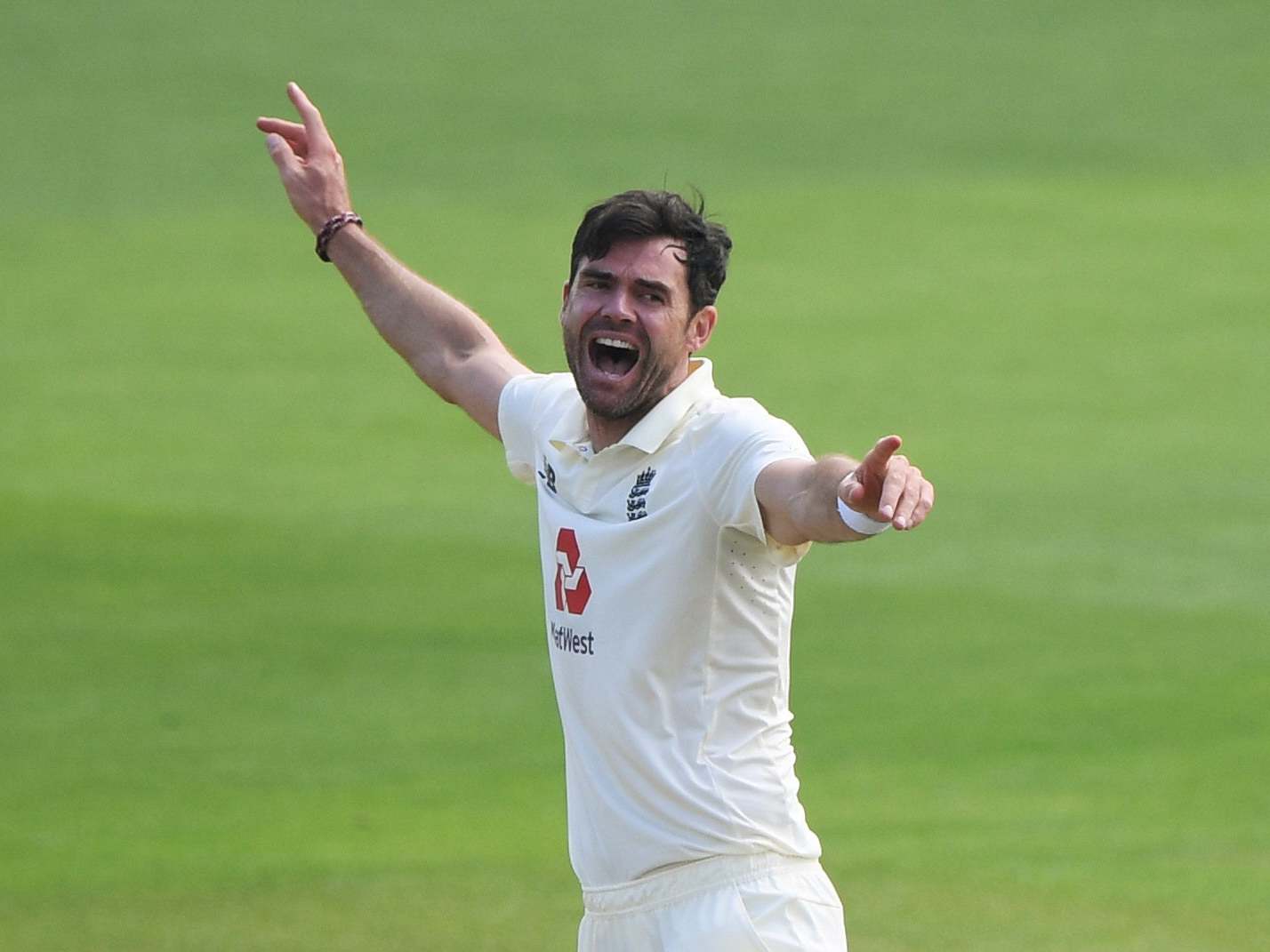 James Anderson celebrates taking the wicket of Pakistan's Shan Masood