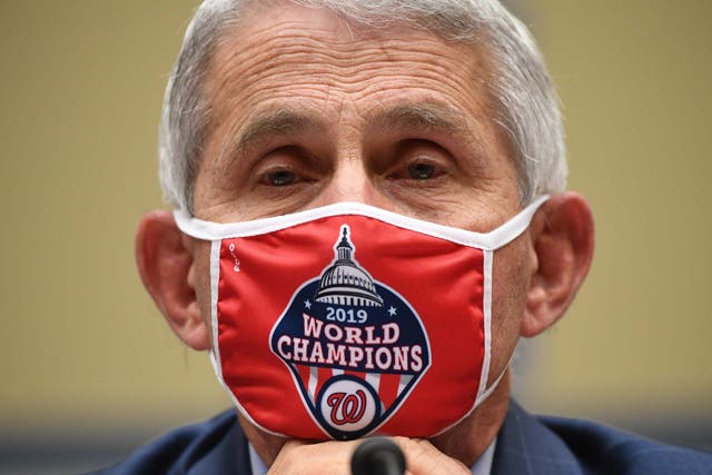 Dr Anthony Fauci, director of the National Institute for Allergy and Infectious Diseases, testifies before the House Subcommittee on the Coronavirus Crisis hearing last month