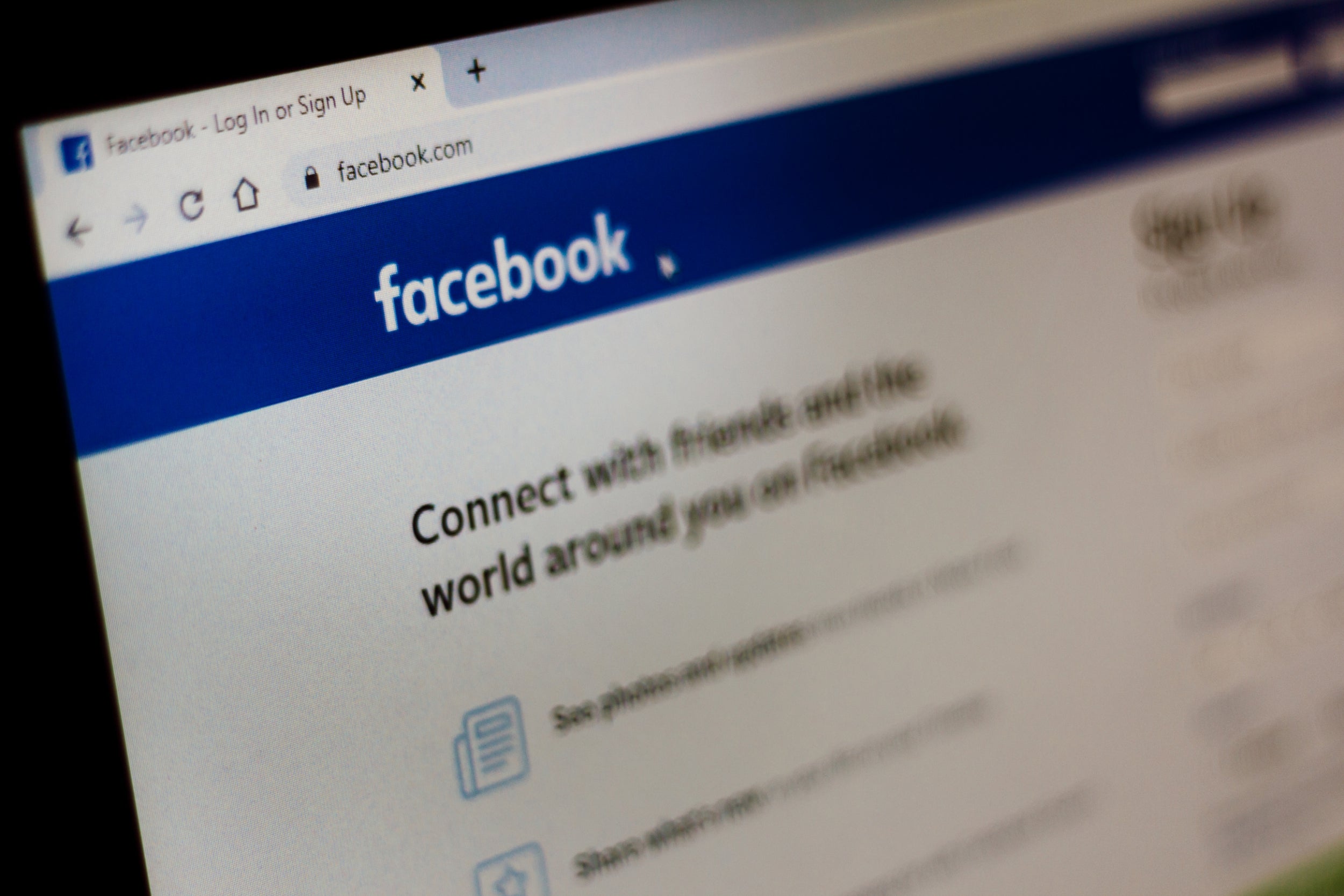 Facebook said: 'While we do not take down content simply for being untruthful, many posts that deny the Holocaust often violate our policies against hate speech and are removed'