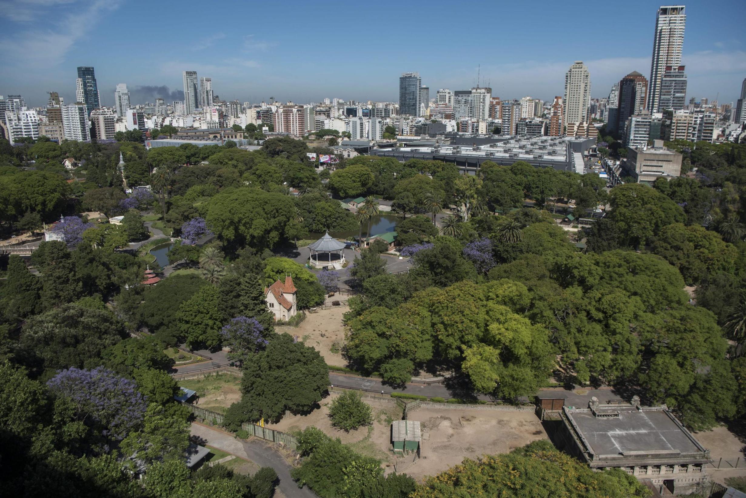 The zoo was once a centrepiece of the city (AFP/Getty)