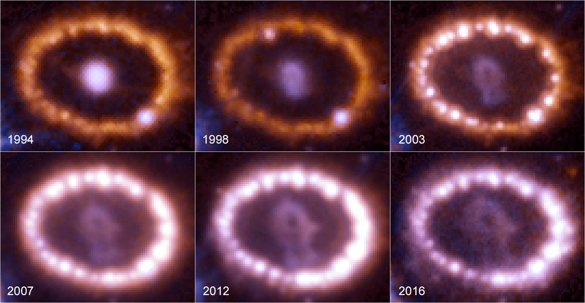 These images, taken between 1994 and 2016 by NASA's Hubble Space Telescope, chronicle the brightening of a ring of gas around an exploded star (Nasa, ESA, and R. Kirshner)