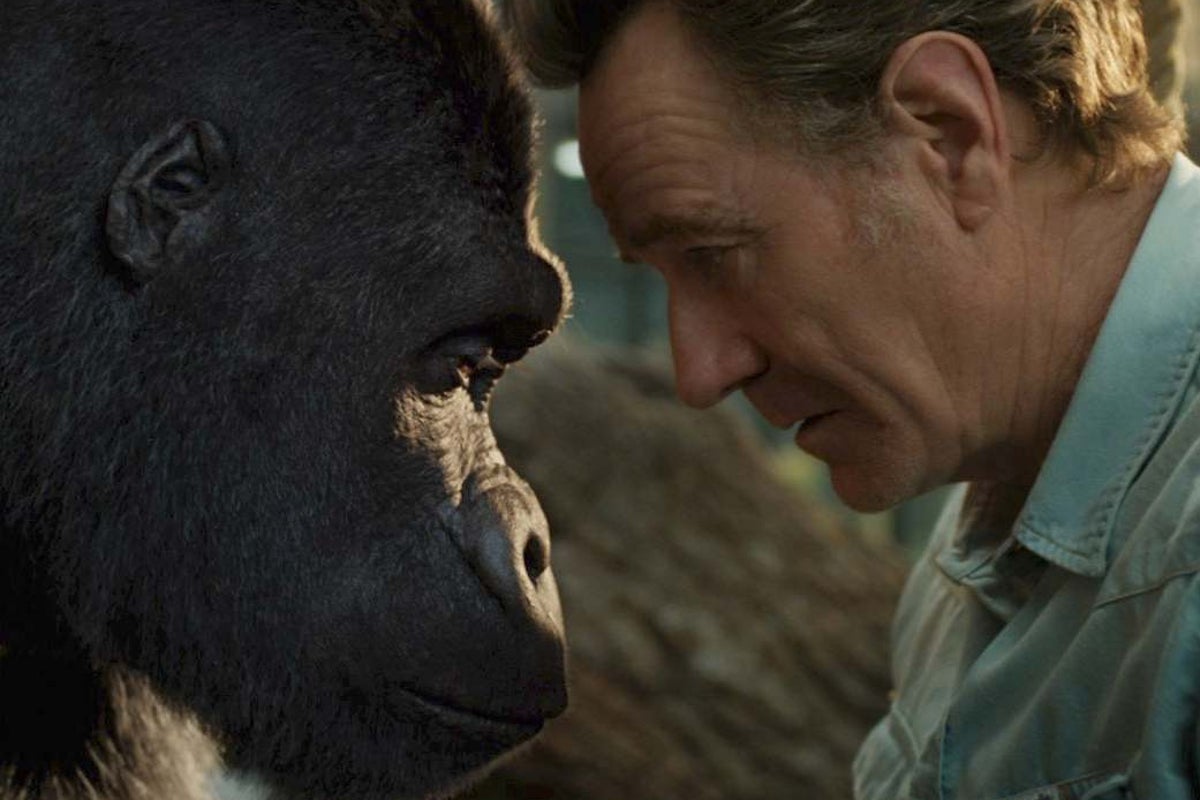 The One and Only Ivan review: Disney’s latest tearjerker finds nuance ...