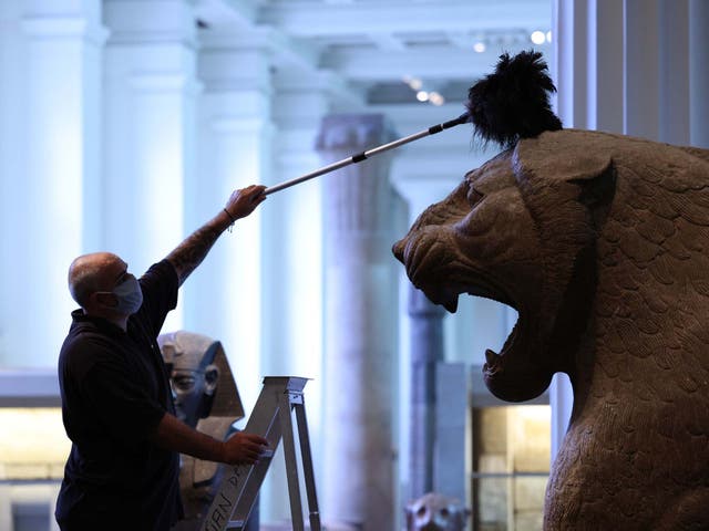 A colossal lion is dusted in the Egyptian Sculpture Gallery at the British Museum