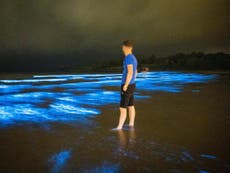 ‘Wow, wow, wow’: Stunning bioluminescence lights up Irish beach