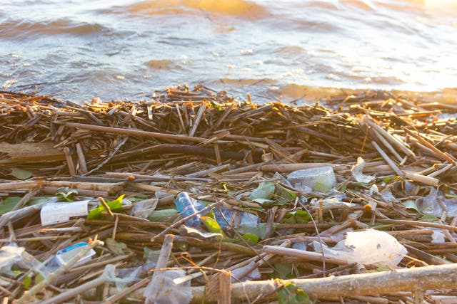 A new study has found that there is ten times more plastic in the Atlantic than previously believed