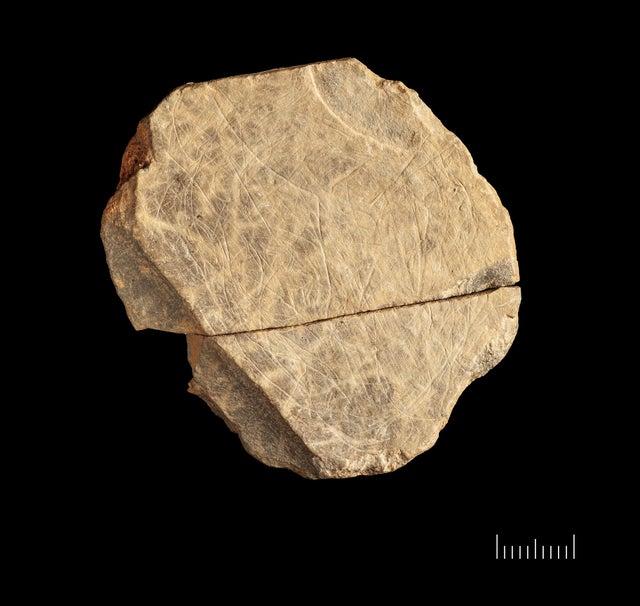 2018-plaquette-complete.jpg?width=640