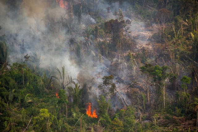 Fire in the Jaci-Paraná Extractive Reserve, in Porto Velho, Rondônia state. Record numbers of fires are burning in the Amazon rainforest