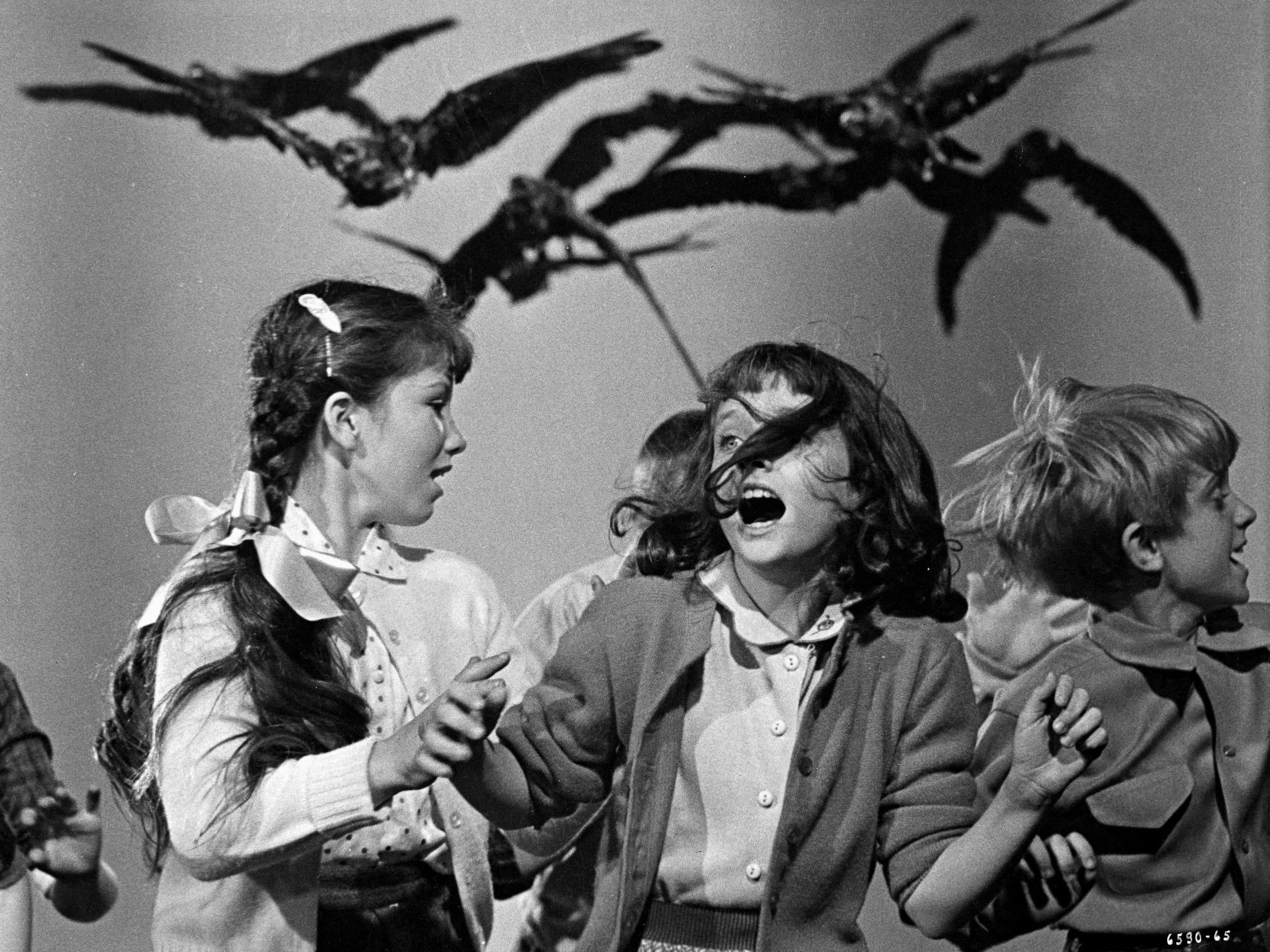 Fine-feathered foes cause havoc in Alfred Hitchcock’s seminal horror ‘The Birds’