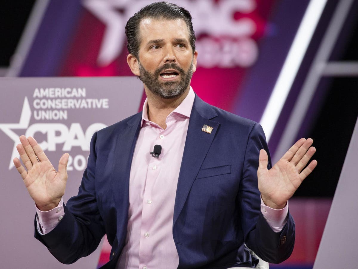 ‘We’re losing, dude, and we’re going to get really hurt’: Trump Jr believes father will be defeated by Biden, report says